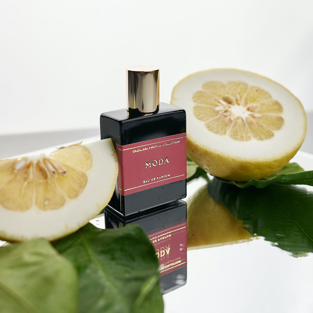 
                      
                        Eau de Parfum - Moda 50 ml
                      
                    